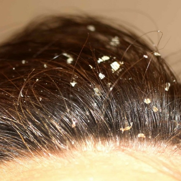 Eternal Spirit Beauty Other - Tea Tree Shampoo & Conditioner